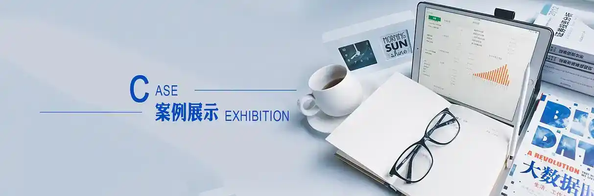 青州市软件开发